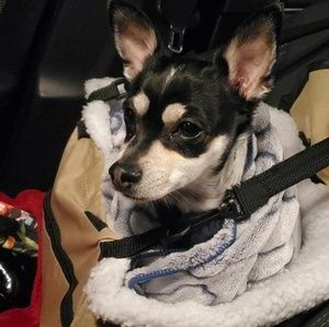 Meet your Posher, Leigh